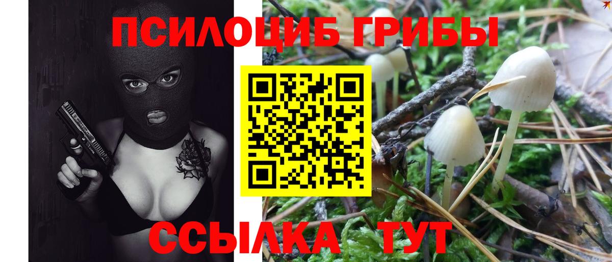 Псилоцибиновые грибы прущие грибы  Вход с VPN  Ливны 